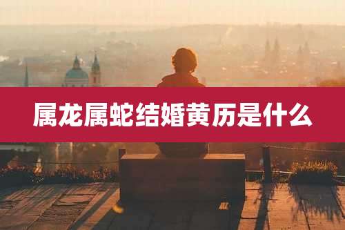 属龙属蛇结婚黄历是什么