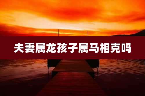 夫妻属龙孩子属马相克吗