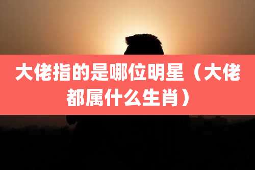 大佬指的是哪位明星（大佬都属什么生肖）