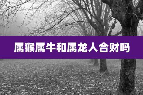 属猴属牛和属龙人合财吗