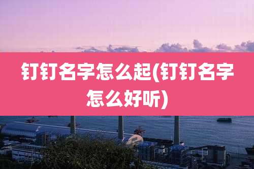 钉钉名字怎么起(钉钉名字怎么好听)