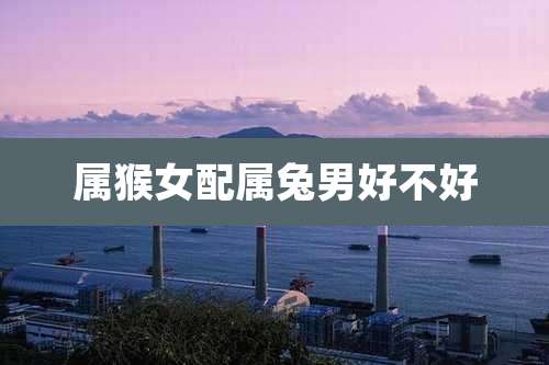 属猴女配属兔男好不好