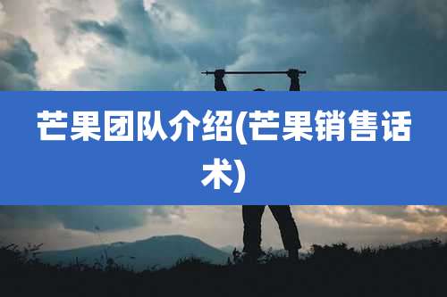 芒果团队介绍(芒果销售话术)