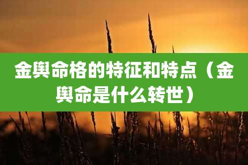 金舆命格的特征和特点（金舆命是什么转世）