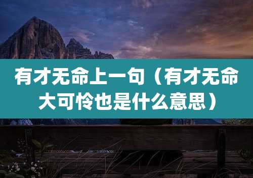 有才无命上一句（有才无命大可怜也是什么意思）