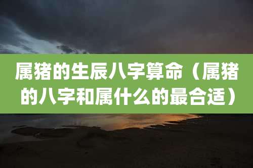 属猪的生辰八字算命(属猪的八字和属什么的最合适)