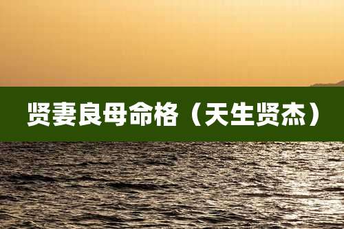 贤妻良母命格（天生贤杰）