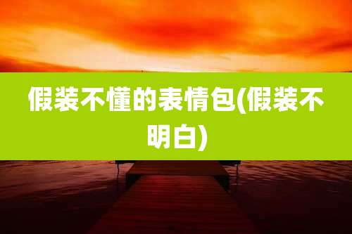 假装不懂的表情包(假装不明白)