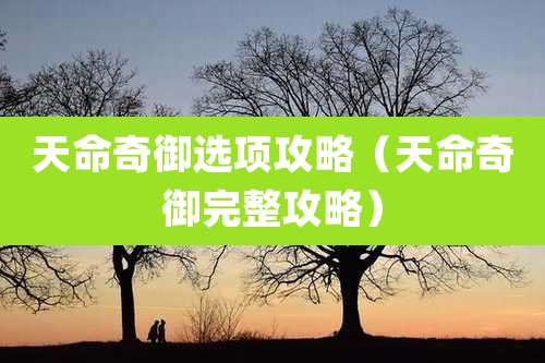 天命奇御选项攻略(天命奇御完整攻略)