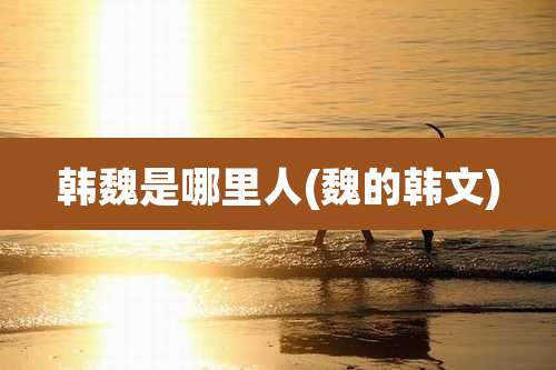 韩魏是哪里人(魏的韩文)