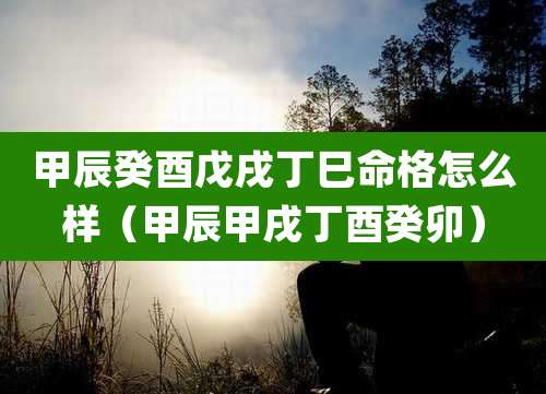 甲辰癸酉戊戌丁巳命格怎么样(甲辰甲戌丁酉癸卯)