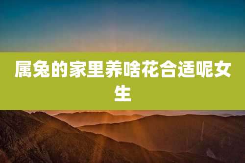 属兔的家里养啥花合适呢女生