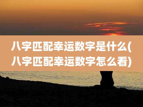 八字匹配幸运数字是什么(八字匹配幸运数字怎么看)