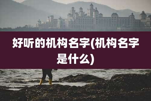 好听的机构名字(机构名字是什么)