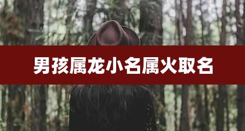 男孩属龙小名属火取名