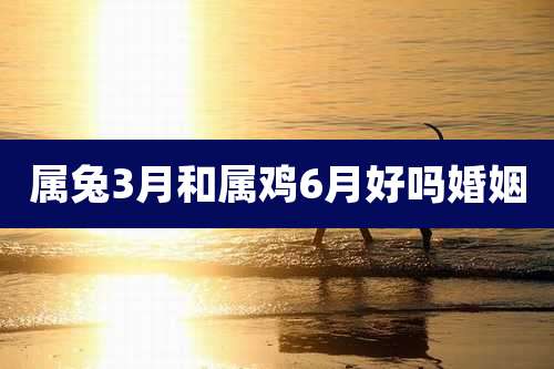属兔3月和属鸡6月好吗婚姻