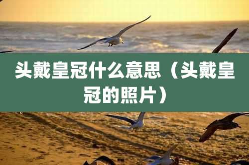 头戴皇冠什么意思（头戴皇冠的照片）