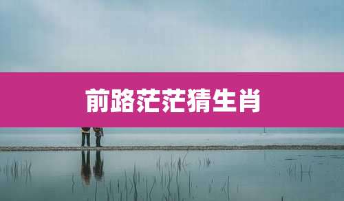 前路茫茫猜生肖