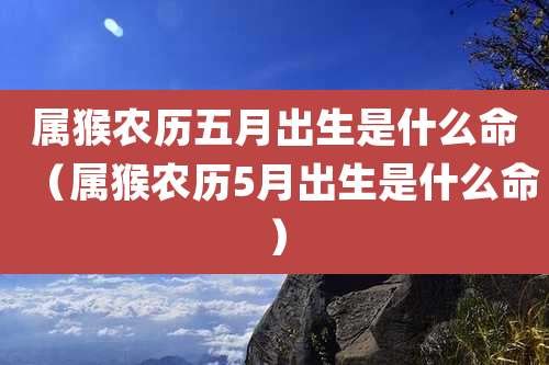 属猴农历五月出生是什么命(属猴农历5月出生是什么命)