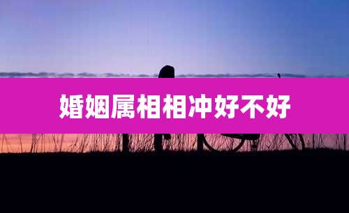 婚姻属相相冲好不好