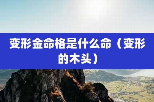 变形金命格是什么命（变形的木头）