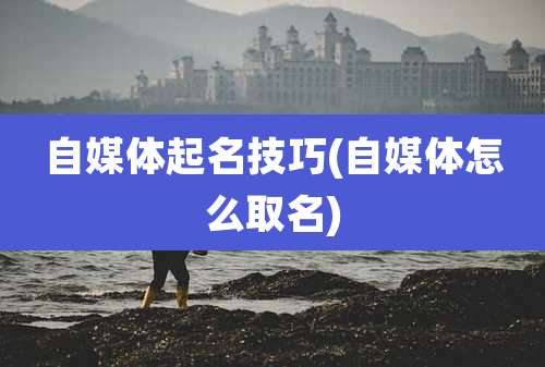 自媒体起名技巧(自媒体怎么取名)
