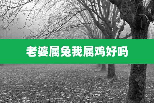 老婆属兔我属鸡好吗