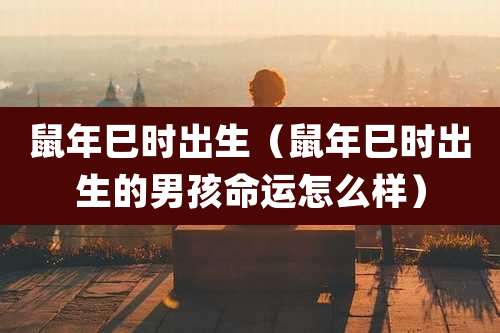 鼠年巳时出生（鼠年巳时出生的男孩命运怎么样）