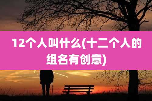 12个人叫什么(十二个人的组名有创意)
