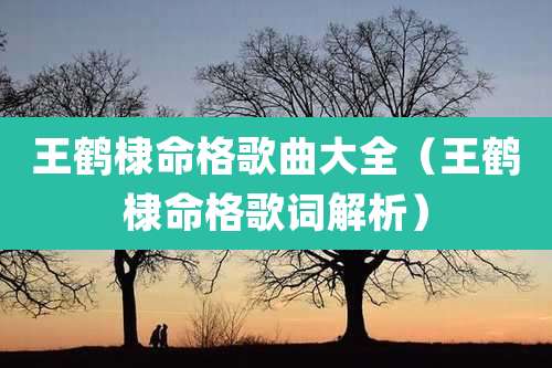 王鹤棣命格歌曲大全（王鹤棣命格歌词解析）