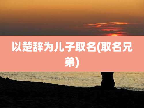 以楚辞为儿子取名(取名兄弟)