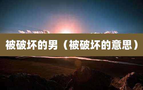 被破坏的男（被破坏的意思）