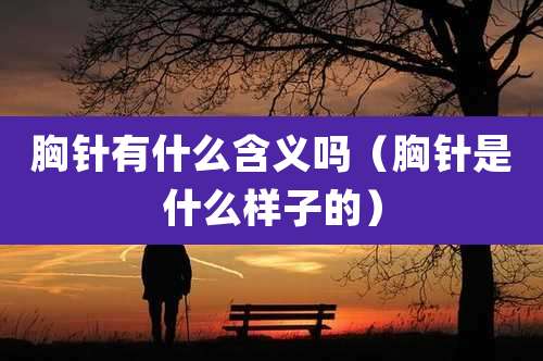胸针有什么含义吗（胸针是什么样子的）