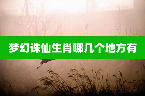 梦幻诛仙生肖哪几个地方有