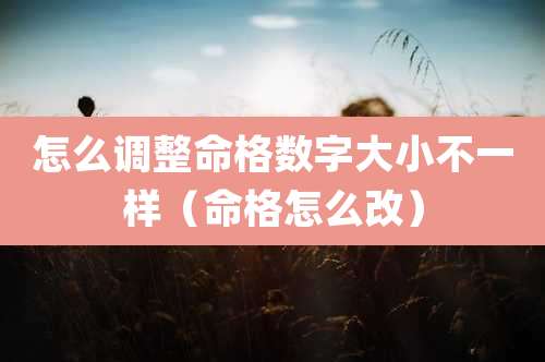 怎么调整命格数字大小不一样（命格怎么改）