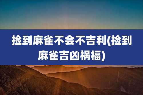 捡到麻雀不会不吉利(捡到麻雀吉凶祸福)