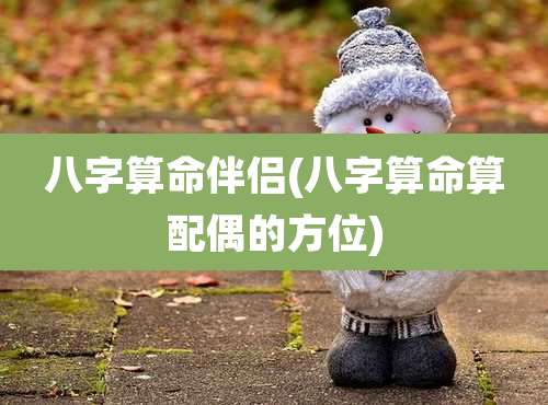 八字算命伴侣(八字算命算配偶的方位)