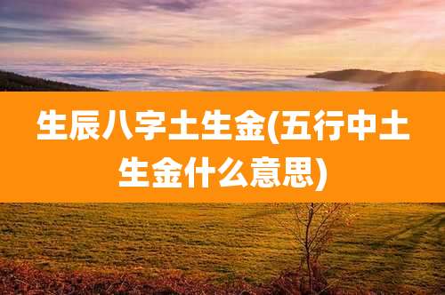 生辰八字土生金(五行中土生金什么意思)