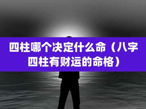 四柱哪个决定什么命(八字四柱有财运的命格)