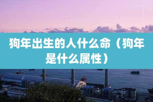 狗年出生的人什么命（狗年是什么属性）