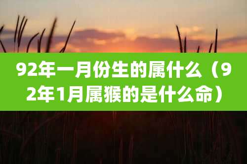 92年一月份生的属什么（92年1月属猴的是什么命）