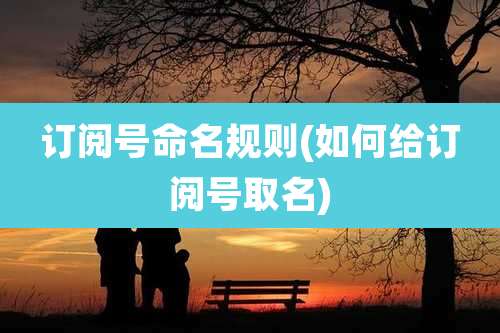 订阅号命名规则(如何给订阅号取名)