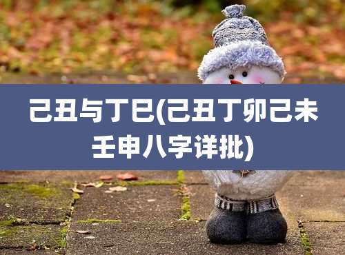 己丑与丁巳(己丑丁卯己未壬申八字详批)