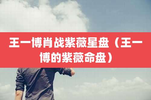 王一博肖战紫薇星盘（王一博的紫薇命盘）
