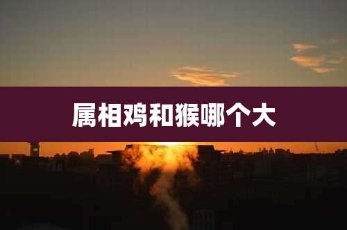 属相鸡和猴哪个大