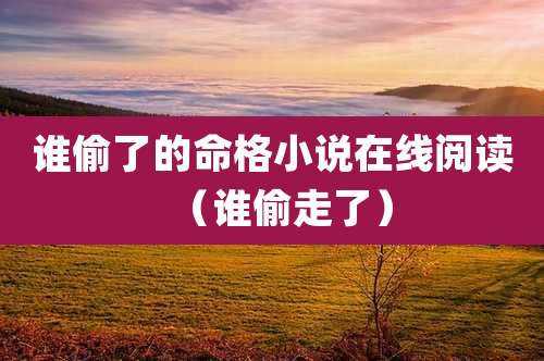 谁偷了的命格小说在线阅读（谁偷走了）