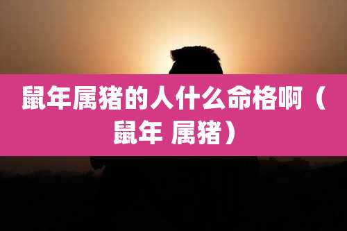 鼠年属猪的人什么命格啊(鼠年 属猪)