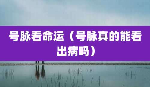 号脉看命运(号脉真的能看出病吗)