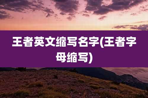 王者英文缩写名字(王者字母缩写)