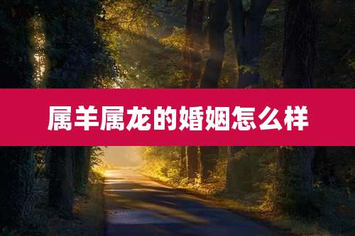 属羊属龙的婚姻怎么样